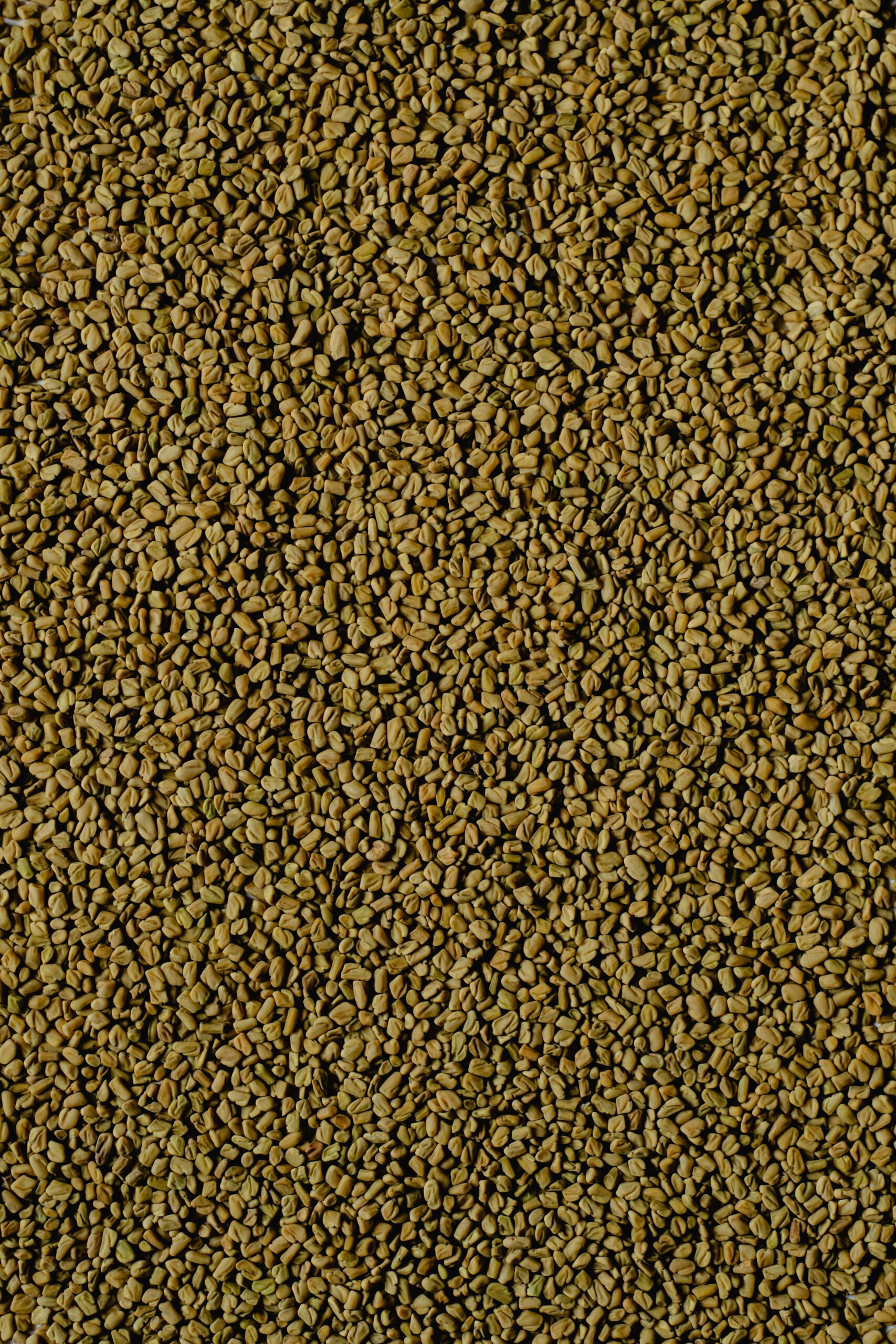 Detailed view of golden brown fenugreek seeds depicting natural texture.